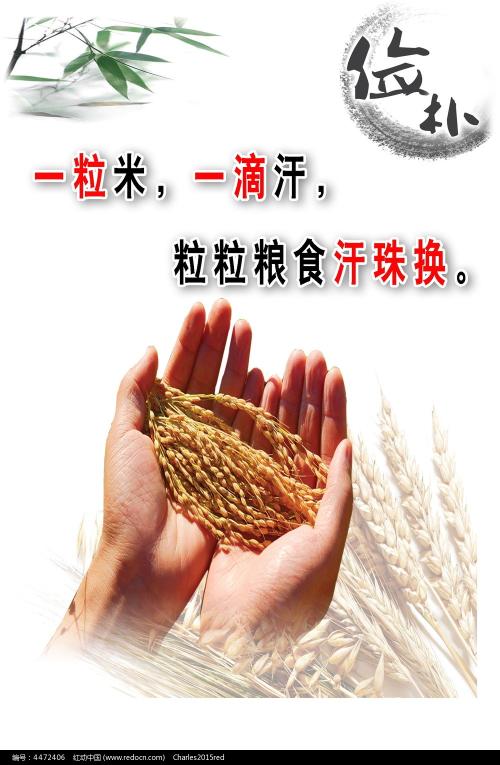 哈尔茨应用技术大学 Media diploma